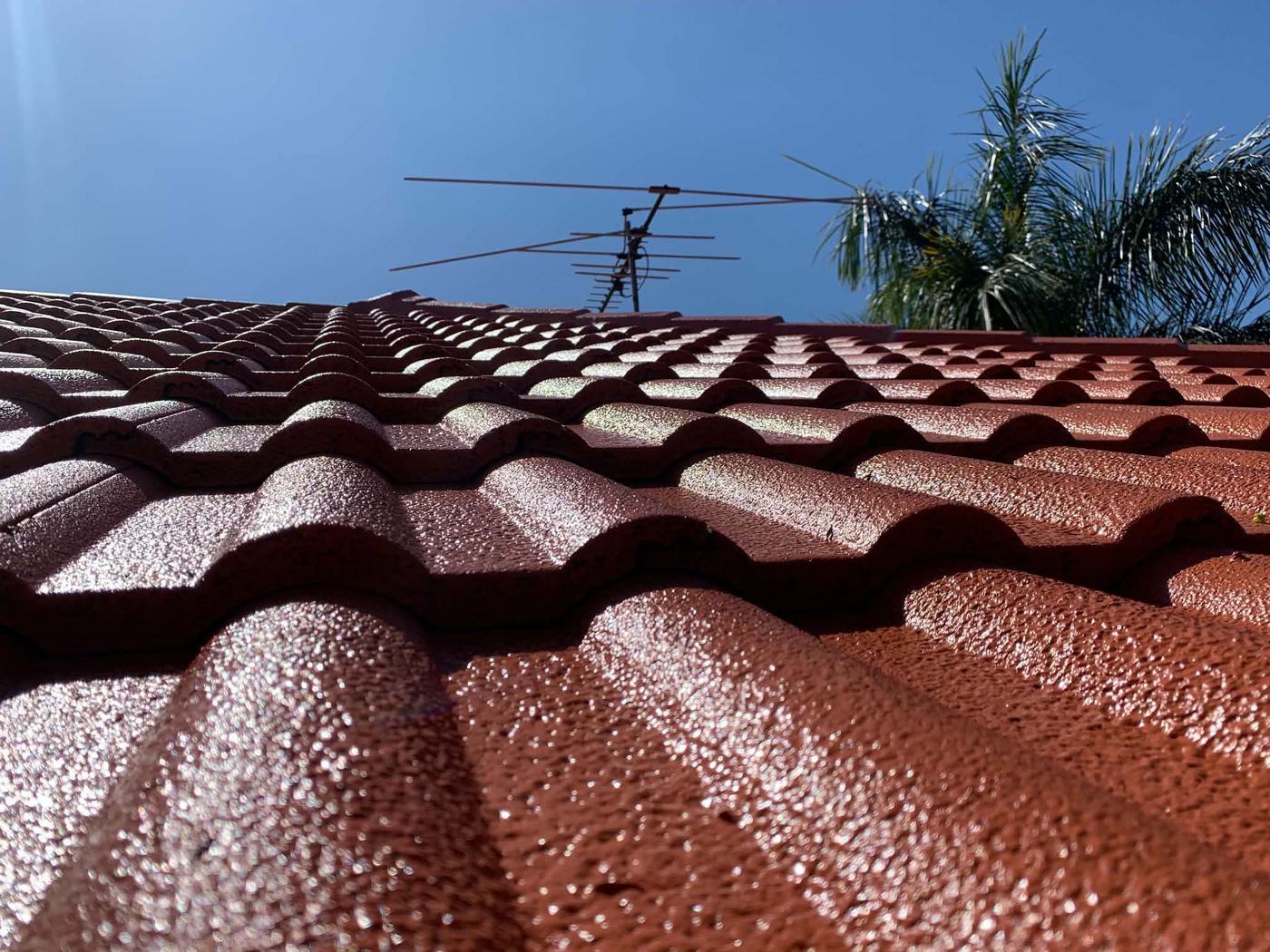 Weathered, faded tile roof before restoration
